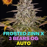 Frosted Zinn Auto x 3 Bears Auto